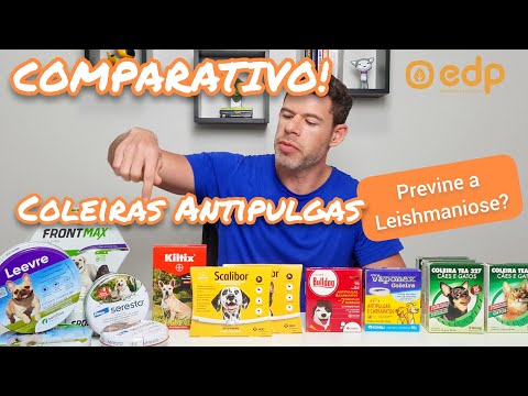 86 | COLEIRA ANTIPULGAS PARA CÃES - QUAL PREVINE A LEISHMANIOSE (CALAZAR) E QUAL A MELHOR?
