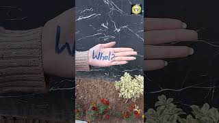 #admissionopennow #besteducation #education #enrollnow #motivation #admissionstarted