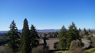 Mt Tabor Park Portland Oregon a Real Volcano in a Big City