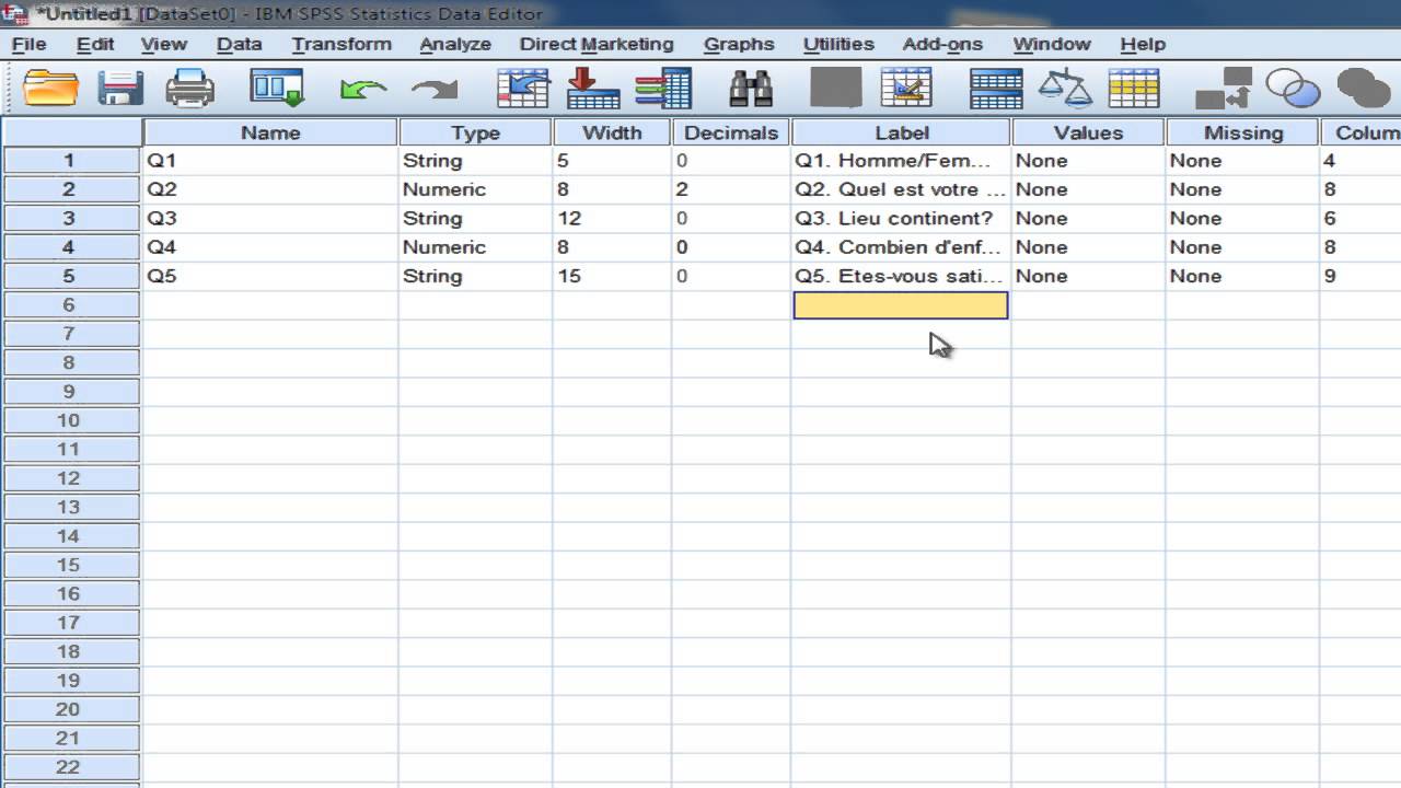 SPSS (tutoriel)/ Les types de données