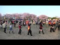【4K】「きよしのズンドコ節」(氷川きよし) 2025年中原ふれあい防災公園 春の盆踊り19 千葉県柏市