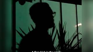 A Firm Kick - John Frusciante (Lyrics video)