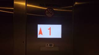Modernized ThyssenKrupp Impulse! Schindler Hydraulic Elevators - USF Psychology Building - Tampa, FL