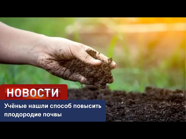 Учёные нашли способ повысить плодородие почвы