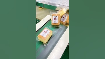 Automatic cake bag form fill seal horizontal packaging machine HFFS