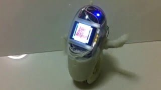 Digit Dances