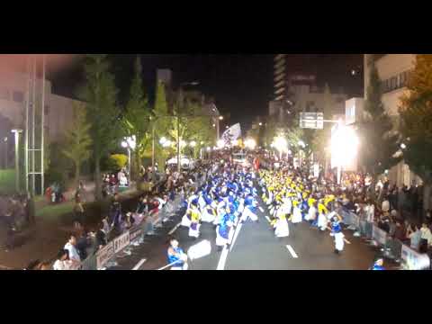 2019 安濃津よさこい 皇學館大学 雅 最終パレード