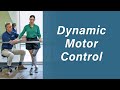 Amputee Dynamic Walking and Balance Control