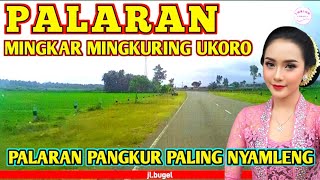 PALARAN PANGKUR❗️MINGKAR MINGKURING ANGKORO❗️MEEST GEZELLIGE PALARAN