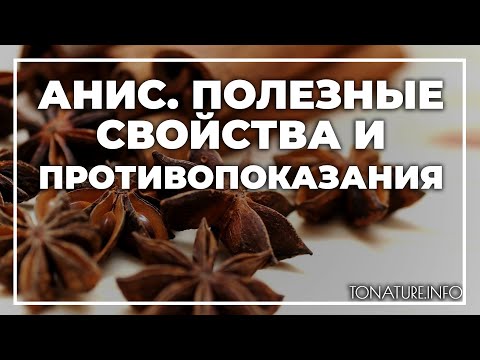 Анис  - полезные свойства и противопоказания | toNature.Info