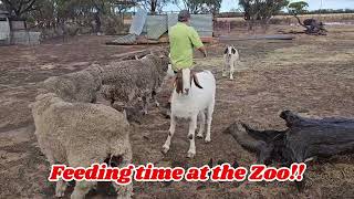 The Farm Retreat With A Difference - Nulla Nulla Farm Retreat