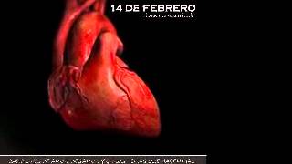 Vídeo de Sin Ti Sin Nada