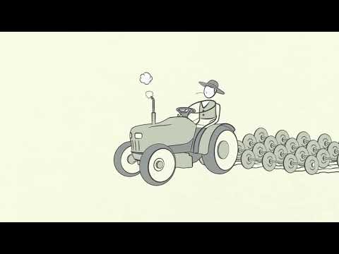 Как работает мировая экономика  Принципы экономики за 30 минут  Мультфильм