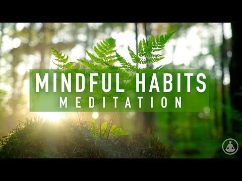 Guided Meditation on Positive Mindful Habits 🧘 With Calming Music