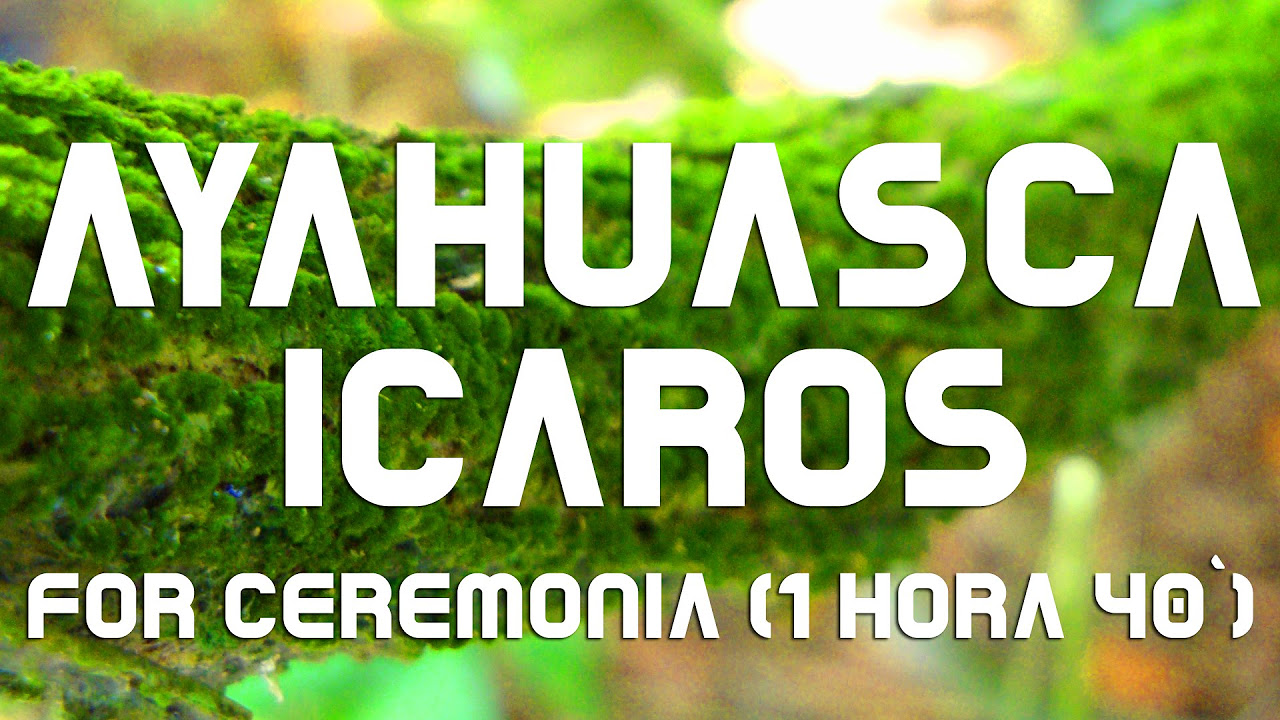 AYAHUASCA   ICAROS for Ceremony 1hr 40 Duration