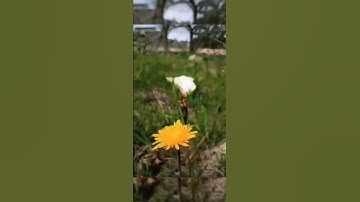 نبئ عبادي أني أنا الغفور الرحيم ‌‌‌‌‌‌‌‌‌‌-تلاوەبصوت القارئ هزاع البلوشي