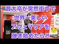 【関内ストリートピアノ】第2楽章 カッチーニ：アヴェマリア【チャンネル登録者数２万人突破企画】ヴァイオリン名曲コンサート！！