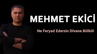 Mehmet Ekici & Hasan Er - Ne Feryad Edersin Divane Bülbül (Canlı) Resimi