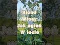 Złota na łódce @arlo_75 Classic 80s Italo Disco #music #muzyka #italodisco #synthpop