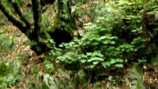 20100619 澗03