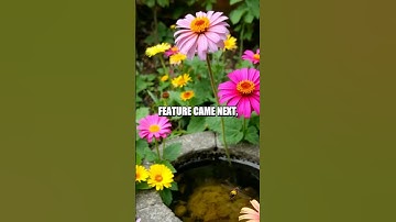 Creating a Pollinator-Friendly Garden