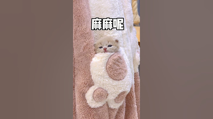 【獨生子的日常】一觉起来麻麻不见了#铲屎官的乐趣#小奶喵 ##小奶猫 #铲屎官的乐趣 #洗澡  #猫咪成精#cutecats #萌寵 #cat #動物 #cute #funnycat #pet