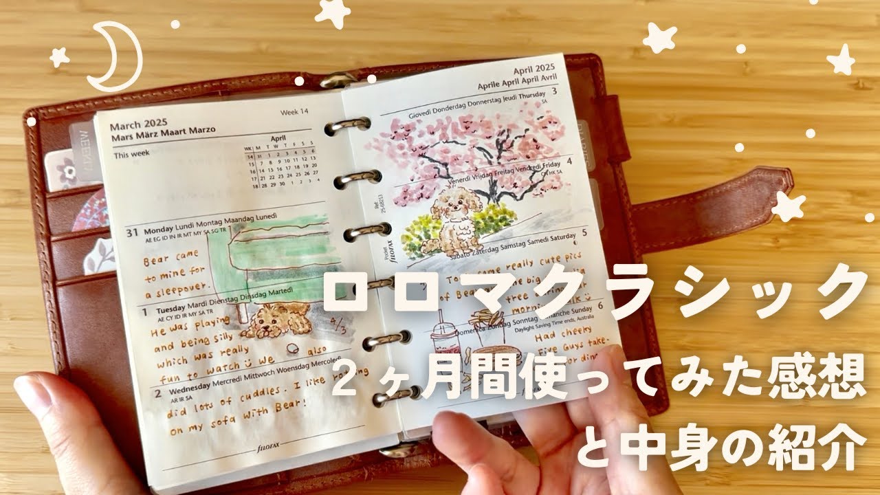 ロロマクラシックのミニ6（ブラウン）を2ヶ月間使ってみた使用感と 