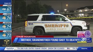Mother, grandmother shot to death in separate shootings
