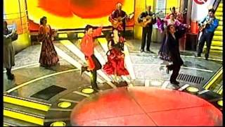 Трио из театра "Ромэн" / Gypsy professional dance