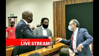 Assault case against EFF's Julius Malema and Mbuyiseni Ndlozi continues