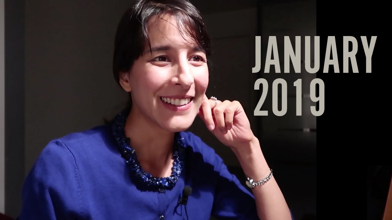 JANUARY 2019 Sidereal Vedic Astrology // Includes brief intro PLUS all moon signs