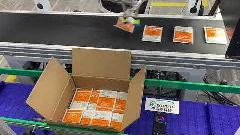 High-Speed Pouch Automatic Packing Systems with Warsonco Delta Robot