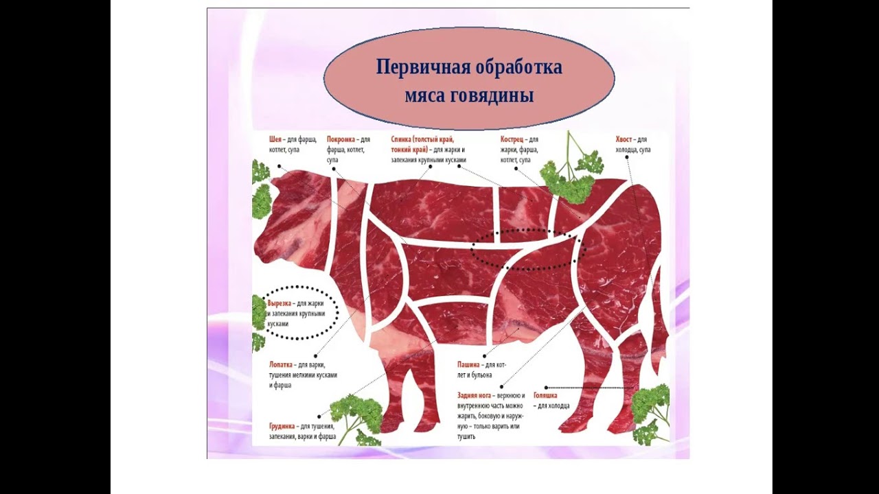 Мясо мдк. Схему первичной обработки говяжьей туши. Схема первичной обработки мяса говядины. Первичная обработка мяса говядины. Механическая обработка мяса говядины.