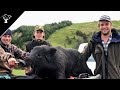 Pig Hunting NZ | Public Land Boar | 3 Pigs