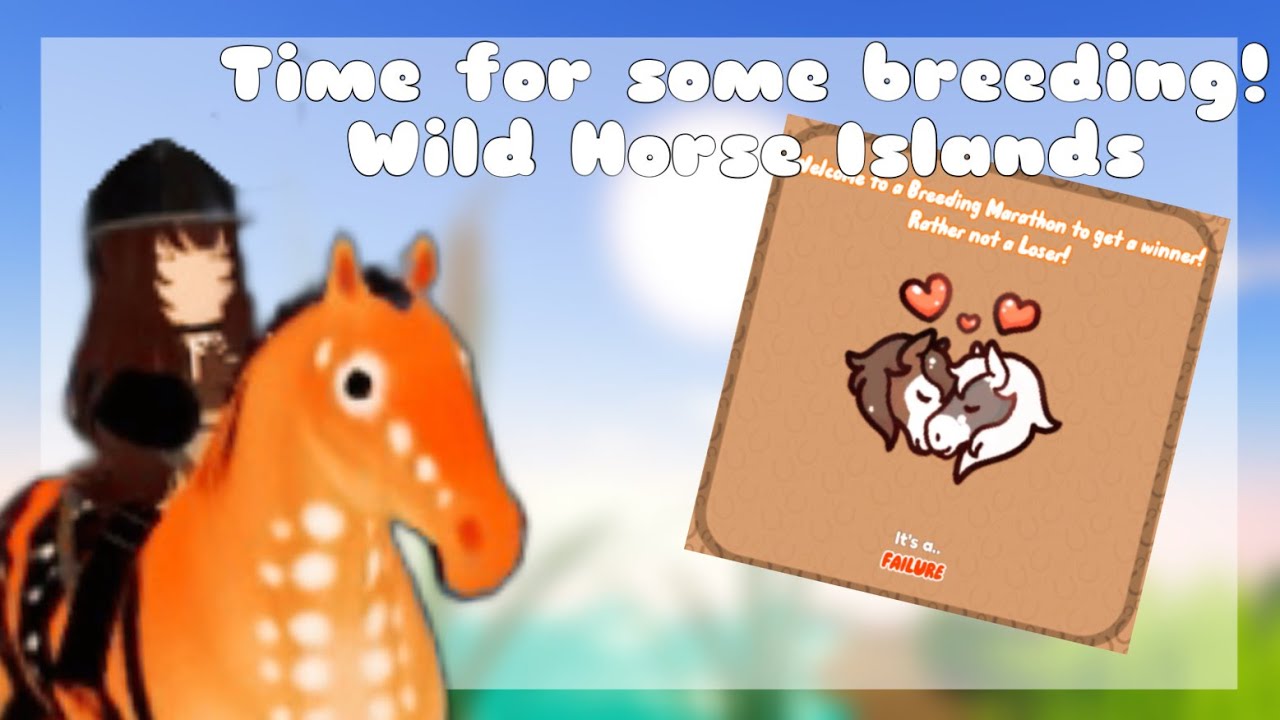 Time for some breeding! Wild Horse Islands YouTube