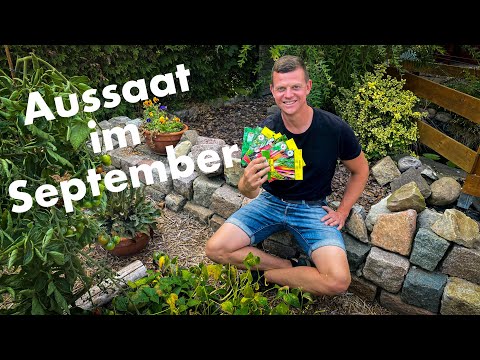 Aussaat im September