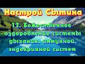 "Божественное оздоровление системы дыхания, иммунной, эндокринной систем" настрой Сытина