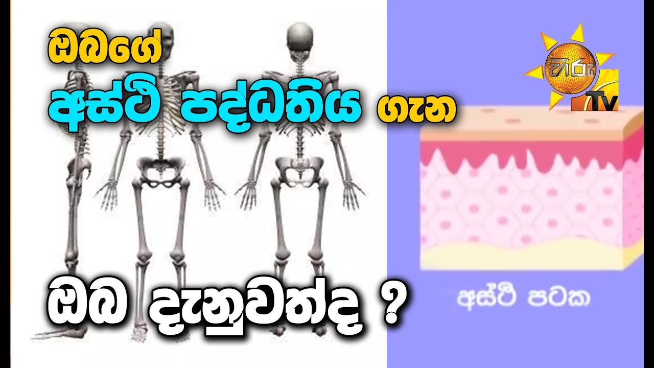 number one for me lyrics ඔබගේ අස්ථි පද්ධතිය ගැන ඔබ දැනුවත්ද ?