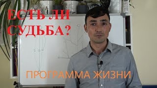 Есть ли судьба?  Программа жизни