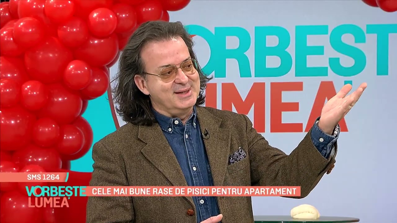 Cele mai bune rase de pisici pentru apartament