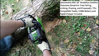 Greenworks 80V 18' Brushless Cordless Chainsaw, Great For Tree Felling, Limbing, Pruning, & Firewood