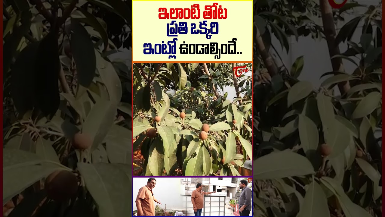 ఇలాంటి తోట ఉండాల్సిందే.. 