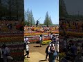 2026/4/13 千葉縣柏市的「曙之山農業公園」