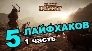 Black Desert (MMORPG ИГРЫ) Лайфхаки, секреты, фишки в BDO