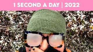 1 Second Everyday | 2022