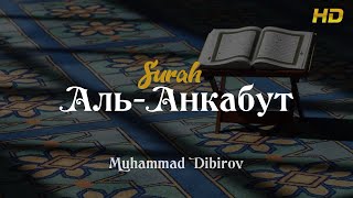 Сура: Аль-Анкабут (Паук)Чтец: Muhammad Dibirov