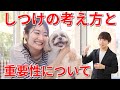 しつけの考え方と重要性について