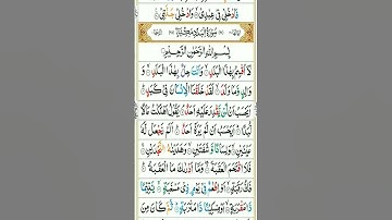 মন জুড়ানো কন্ঠে সুরাতুল বালাদ سورةالبلد #viral #qurantilawat #islamicscripture ##ইসলামিক_ভিডিও