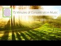 75 Minutes of Concentration Music - for learning, reading, writing, meditation.