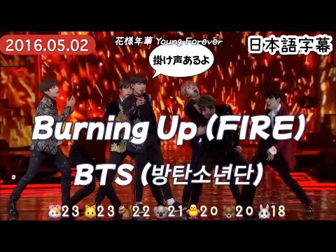 【Burning Up (FIRE)】BTS 和訳/カナルビ/掛け声